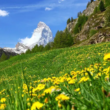 Apartment Grillon-4 By Interhome Zermatt